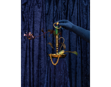 Rachel Stern: Still Life With Brass Ring